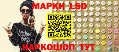 стаф Шелехов
