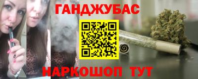 стаф Шелехов