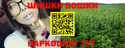 стаф Шелехов