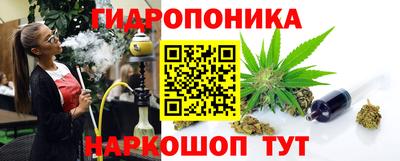 стаф Шелехов