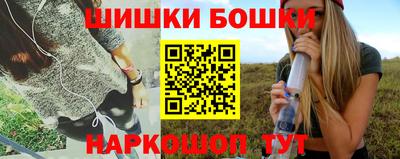 стаф Шелехов