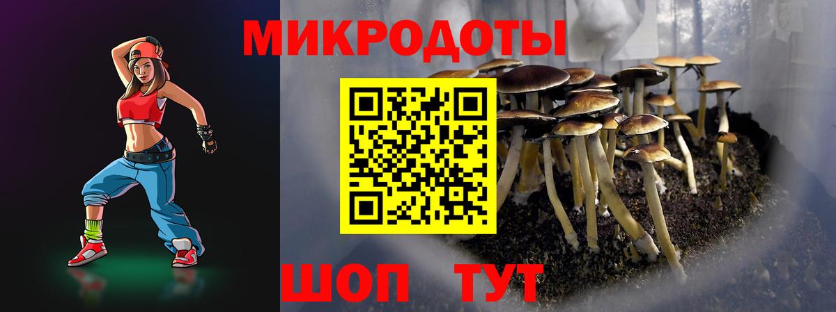 Галлюциногенные грибы Psilocybine cubensis  Галлюциногенные грибы прущие грибы  Воркута  Вход с VPN 